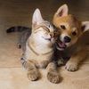 bob_lee5567977